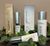 Four skincare products on a desk with ivy leaves: two in gold and white packaging labeled "Alastin," one in white labeled "EltaMD," and one in blue and white labeled "Epionce.